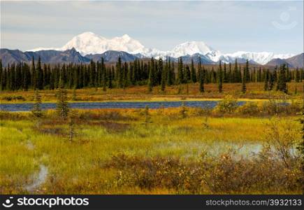 Mountains tower over the tundra near Denali National Park