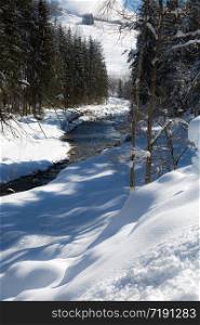 Mountains with Snow-covered Fir Trees, and Creek of Frozen Water.. Mountains with Snow-covered Fir Trees, and Creek of Frozen Water