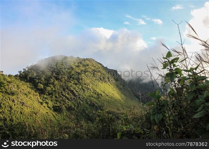 mountains with Tropical rain forest