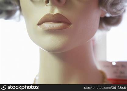 Mouth and Chin of Mannequin