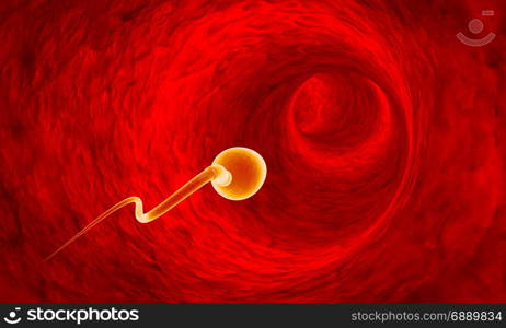 Movement of spermatozoa through the fallopian tubes. Sperm, fertilization. 3D illustration. Available in high-resolution and several sizes to fit the needs of your project. If you buy this image, I will be very grateful to you!