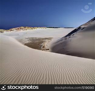 Moving sand dunes at Slowinski National Park near Leba, Pomeranian Voivodeship, Poland.