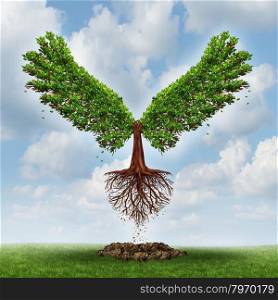 Moving up and the power of success with a growing tree in the shape of wingsthat has emerged out of the ground and has taken flight upward to opportunity as a business concept of the evolution of successful leadership and strategic planning.