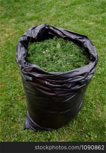 Mowing a household garden lawn with black bag of grass clippings. Grass cuttings in a black plastic bag on a newly trimmed lawn. Mowing a household garden lawn with black bag of grass clippings.