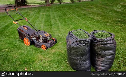 Mowing a household garden lawn with black bag of grass clippings. Grass cuttings in a black plastic bag on a newly trimmed lawn. Mowing a household garden lawn with black bag of grass clippings.