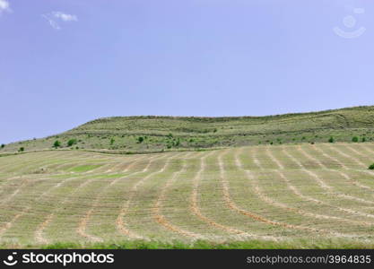 Mown Field on the Hill in Sicily, Italy