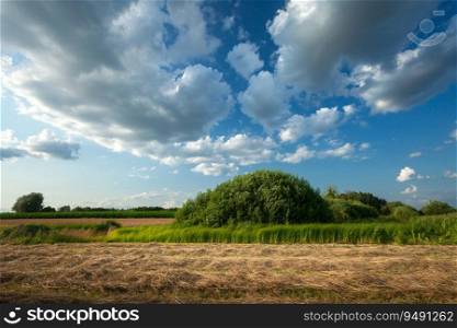 Mown grass in a meadow with bushes and fantastic clouds on the blue sky, summer day, eastern Poland