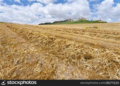 Mown Wheat Field on the Hill in Sicily