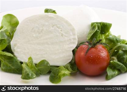 mozzarella bufala and salad. photo of a fresh mozzarella bufala and salad