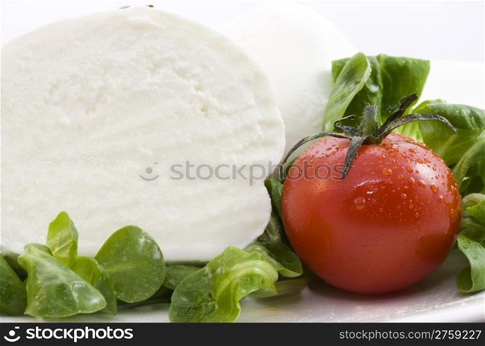 mozzarella bufala and salad. photo of a fresh mozzarella bufala and salad