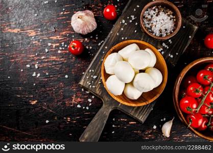 Mozzarella cheese on a cutting board with spices and tomatoes. Against a dark background. High quality photo. Mozzarella cheese on a cutting board with spices and tomatoes.