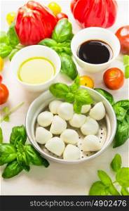 Mozzarella in bowl with basil leaves,oil,tomatoes and balsamic vinegar, italian food ingredients, close up
