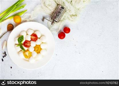 mozzarella with fresh tomato on white plate