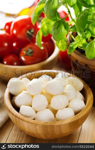 mozzarella with tomatoes and green basil on wooden table