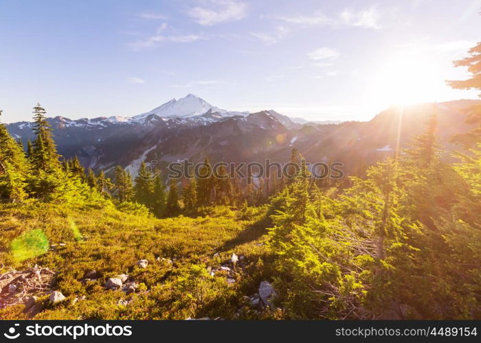 Mt.Baker recreation area, Washington, USA