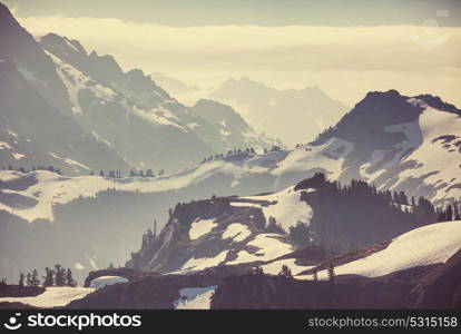 Mt. Baker recreation area, Washington, USA