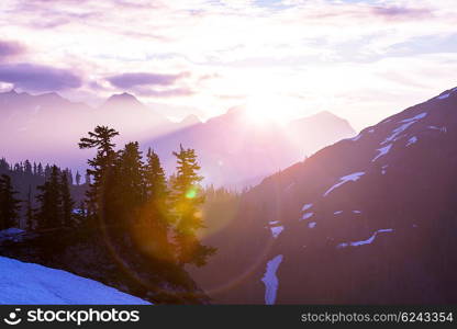 Mt.Baker recreation area, Washington, USA