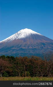 Mt.Fuji