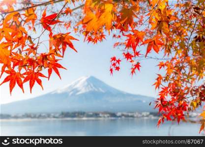 Mt. Fuji in autumn at Kawaguchiko or lake Kawaguchi in Fujikawaguchiko Japan (Selective Focus at Maple Leaf)