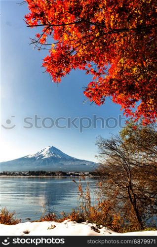 Mt. Fuji in autumn at Kawaguchiko or lake Kawaguchi in Fujikawaguchiko Japan