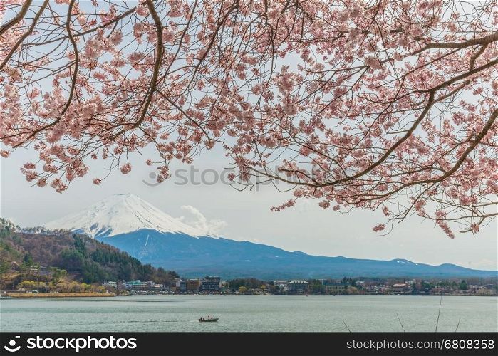 Mt. fuji with cherry blossom at lake kawaguchiko,Japan