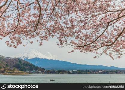 Mt. fuji with cherry blossom at lake kawaguchiko,Japan