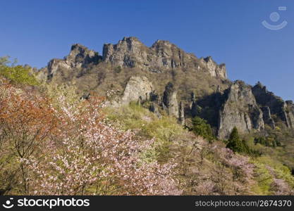 Mt.Myougi