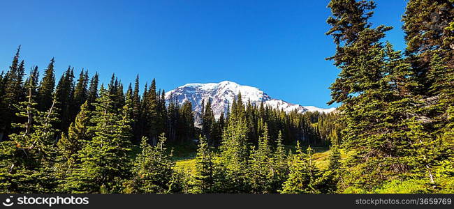 Mt.Rainier