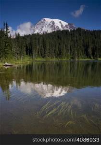 Mt. Rainier and Lake National Park Washington State