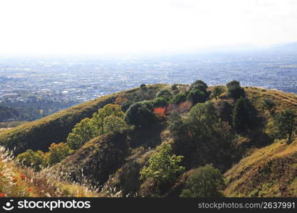 Mt. Wakakusa