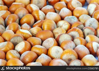 Much hazelnuts isolated on white