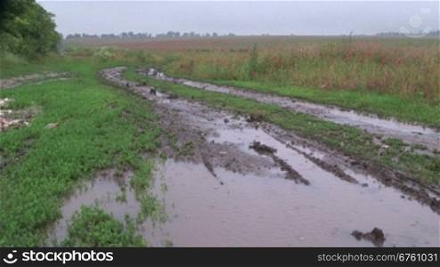 Muddy dirt road with puddles through the field in rain