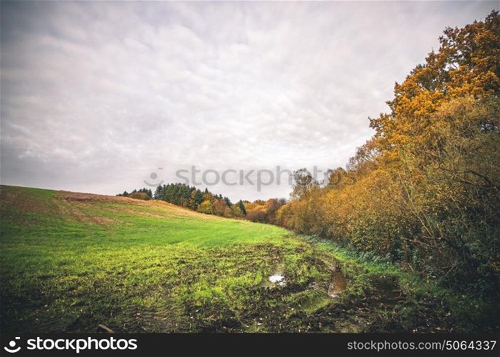 Muddy field with a puddle in the fall in a rural environment with colorful trees in golden autumn colors