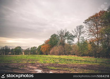 Muddy wheel tracks on a field in the fall surrounded by trees and in cloudy weather