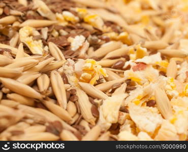 muesli for horse background. macro