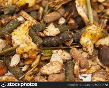 muesli with herbs background for horse. macro