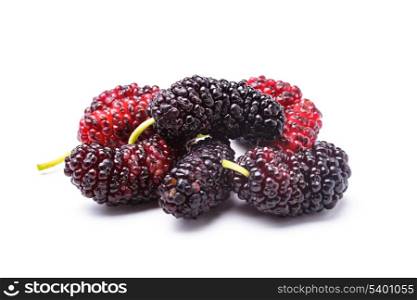 Mulberry berries close up on white background