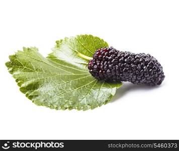 Mulberry berry with green leaf on white background