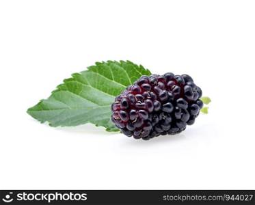 Mulberry with leaf Isolated on white background