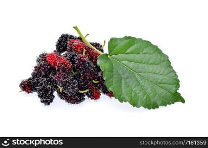 Mulberry with leaf on white background