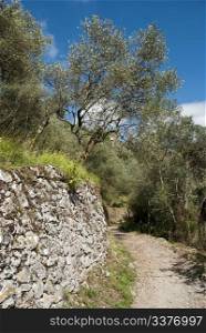 Mule Track near a small Tuscan Town