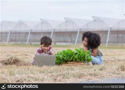 Multi-ethnic children in casual clothing raise hand gives ok after using laptop to selling freshness vegetable harvest from green house.Afro curly hair children,mixed race children.Success together.