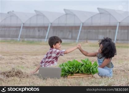 Multi-ethnic children in casual clothing raise hand gives ok after using laptop to selling freshness vegetable harvest from green house.Afro curly hair children,mixed race children.Success togethe