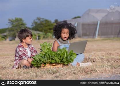 Multi-ethnic children in casual clothing raise hand gives ok after using laptop to selling freshness vegetable harvest from green house.Afro curly hair children,mixed race children.Success together.