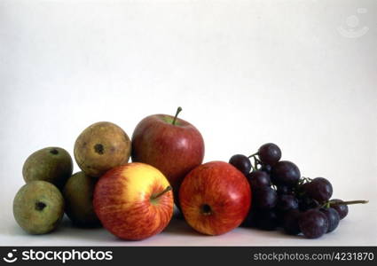 Multi fruits on painted background