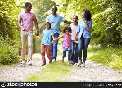 Multi Generation African American Family On Country Walk