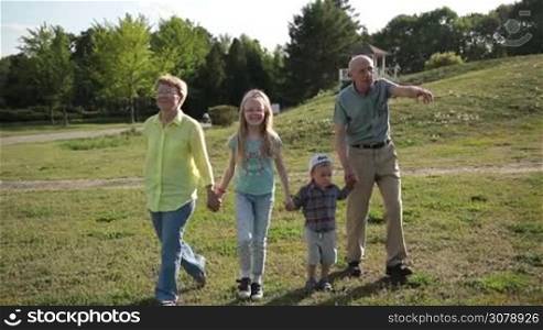 Multi generation caucasian family holding hands walking across grass in park smiling. Affectionate grandparents and joyful grandchildren holding hands strolling in meadow while enjoying time together in park on sunny day. Slow motion. Stabilized shot.
