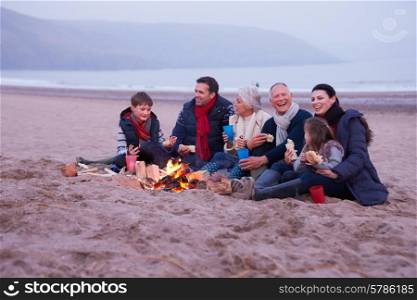 Multi Generation Family Having Barbeque On Winter Beach