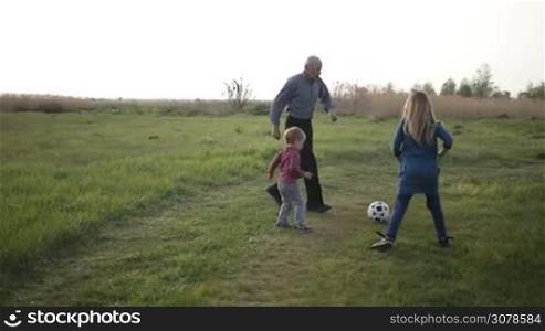 Multi generation family having fun outdoors in countryside. Handsome grandfather teaching grandchildren playing football on green lawn. Cute toddler boy and his sister playing soccer with grandfather. Slow motion. Steadicam stabilized shot.