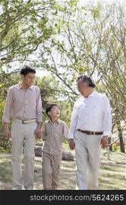 Multi-generational family, grandfather, father, and son holding hands and going for a walk in the park in springtime